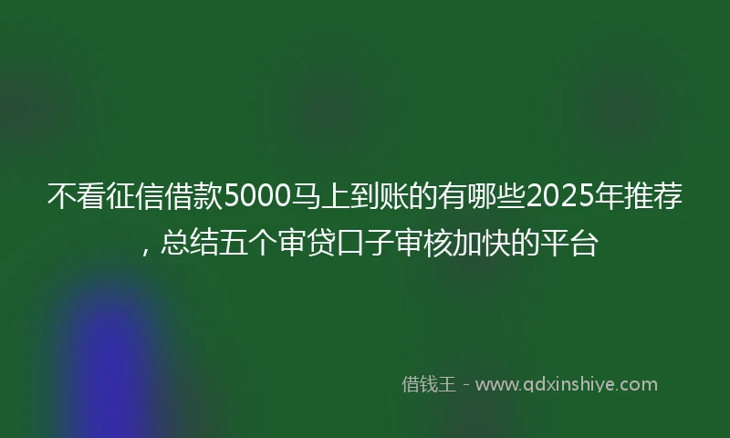 不看征信借款5000马上到账的有哪些2025年推荐,总结五个审贷口子审核加快的平台