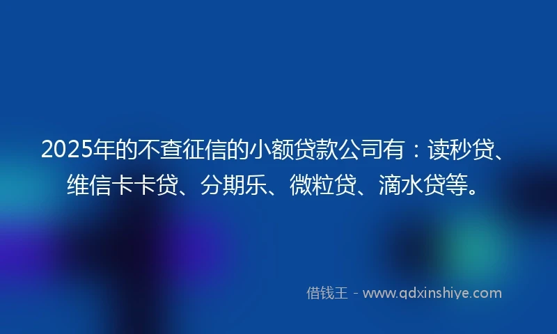 2025年的不查征信的小额贷款公司有：读秒贷、维信卡卡贷、分期乐、微粒贷、滴水贷等。
