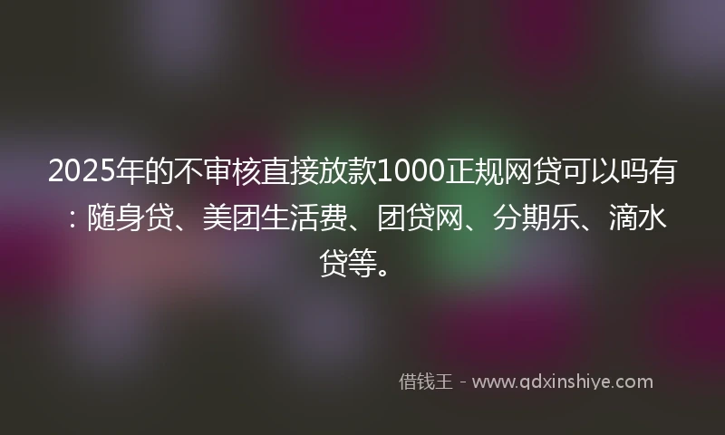 2025年的不审核直接放款1000正规网贷可以吗有：随身贷、美团生活费、团贷网、分期乐、滴水贷等。
