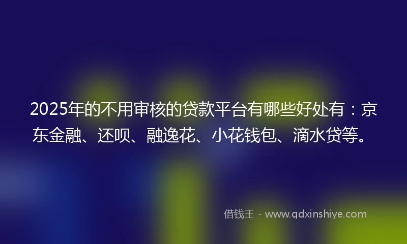 2025年的不用审核的贷款平台有哪些好处有：京东金融、还呗、融逸花、小花钱包、滴水贷等。