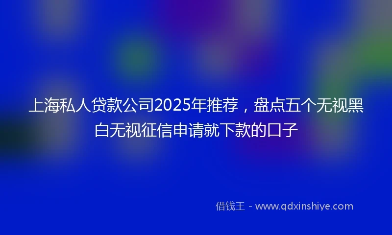 上海私人贷款公司2025年推荐,盘点五个无视黑白无视征信申请就下款的口子