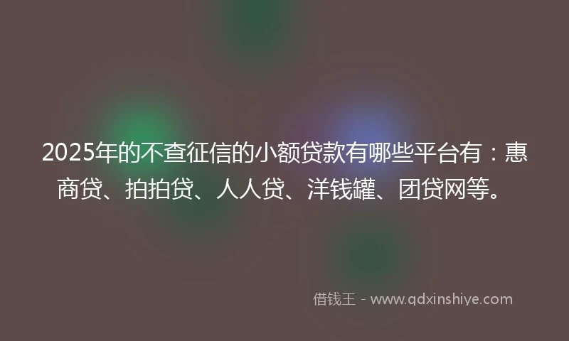 2025年的不查征信的小额贷款有哪些平台有：惠商贷、拍拍贷、人人贷、洋钱罐、团贷网等。