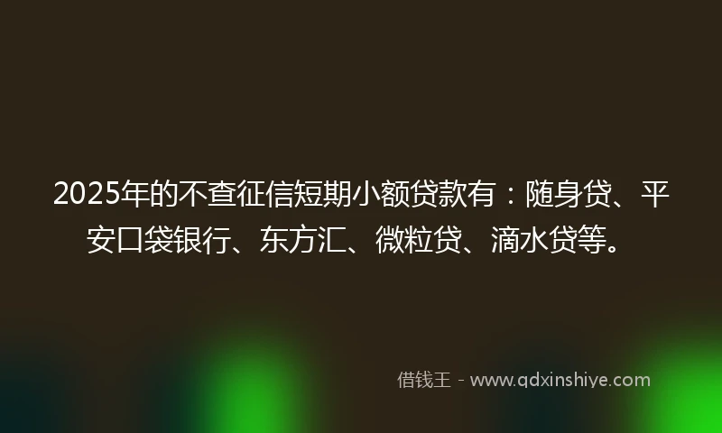2025年的不查征信短期小额贷款有：随身贷、平安口袋银行、东方汇、微粒贷、滴水贷等。