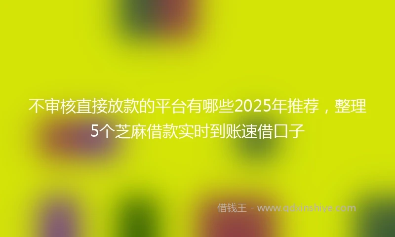 不审核直接放款的平台有哪些2025年推荐，整理5个芝麻借款实时到账速借口子