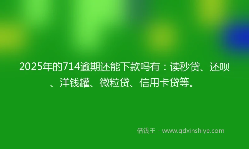 2025年的714逾期还能下款吗有:读秒贷、还呗、洋钱罐、微粒贷、信用卡贷等。