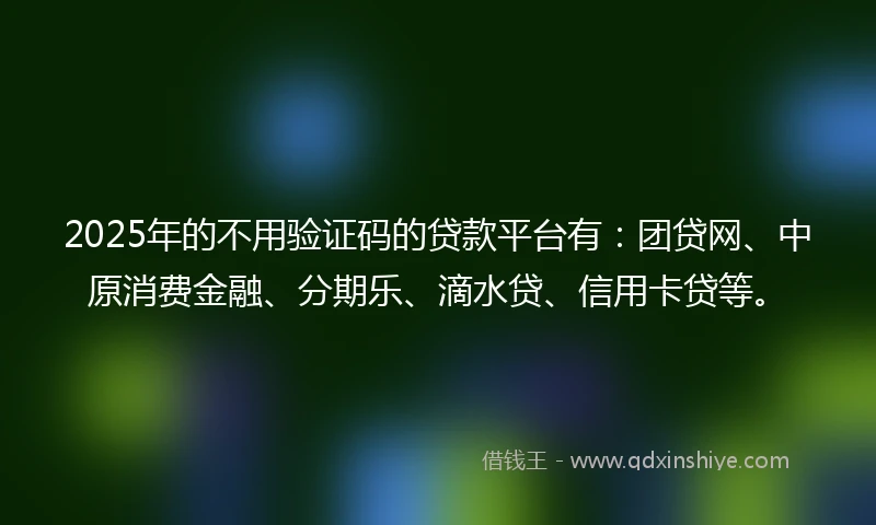 2025年的不用验证码的贷款平台有：团贷网、中原消费金融、分期乐、滴水贷、信用卡贷等。