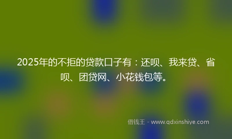 2025年的不拒的贷款口子有：还呗、我来贷、省呗、团贷网、小花钱包等。