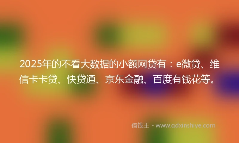 2025年的不看大数据的小额网贷有：e微贷、维信卡卡贷、快贷通、京东金融、百度有钱花等。