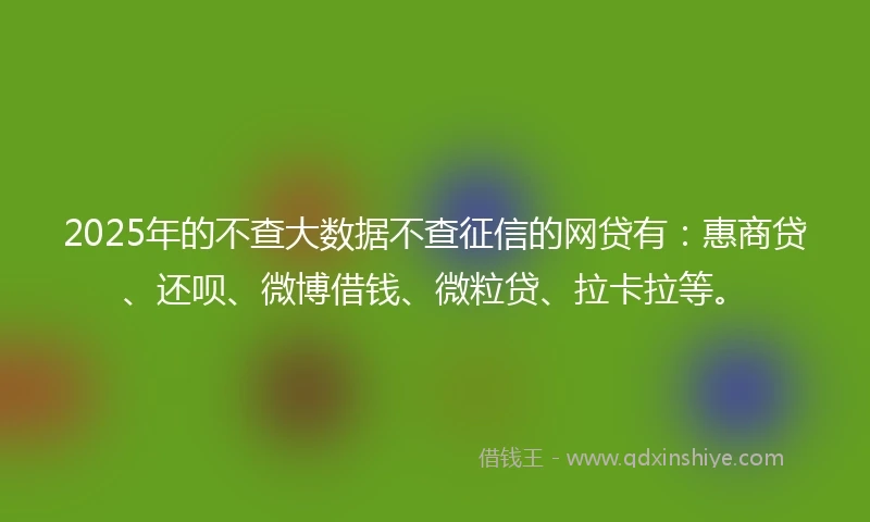 2025年的不查大数据不查征信的网贷有：惠商贷、还呗、微博借钱、微粒贷、拉卡拉等。