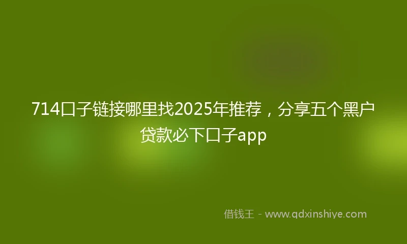 714口子链接哪里找2025年推荐，分享五个黑户贷款必下口子app