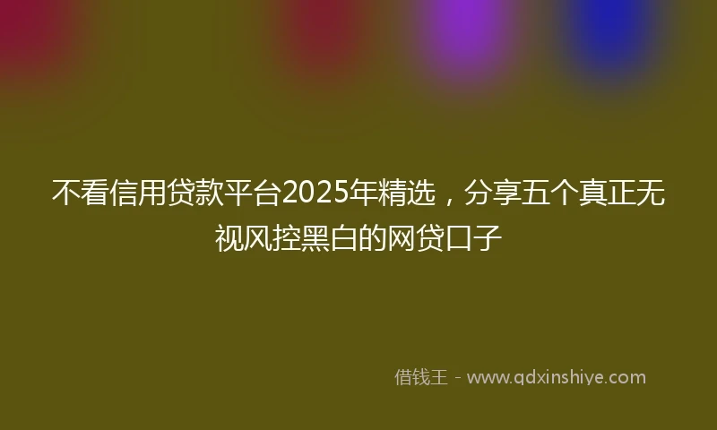 不看信用贷款平台2025年精选，分享五个真正无视风控黑白的网贷口子