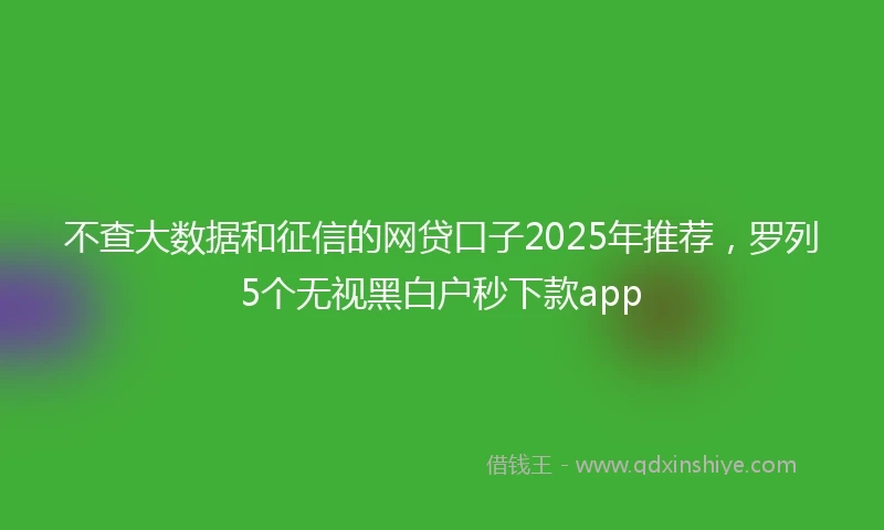 不查大数据和征信的网贷口子2025年推荐，罗列5个无视黑白户秒下款app
