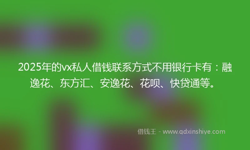2025年的vx私人借钱联系方式不用银行卡有：融逸花、东方汇、安逸花、花呗、快贷通等。