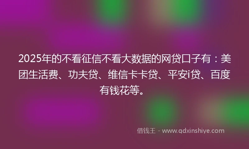 2025年的不看征信不看大数据的网贷口子有：美团生活费、功夫贷、维信卡卡贷、平安i贷、百度有钱花等。