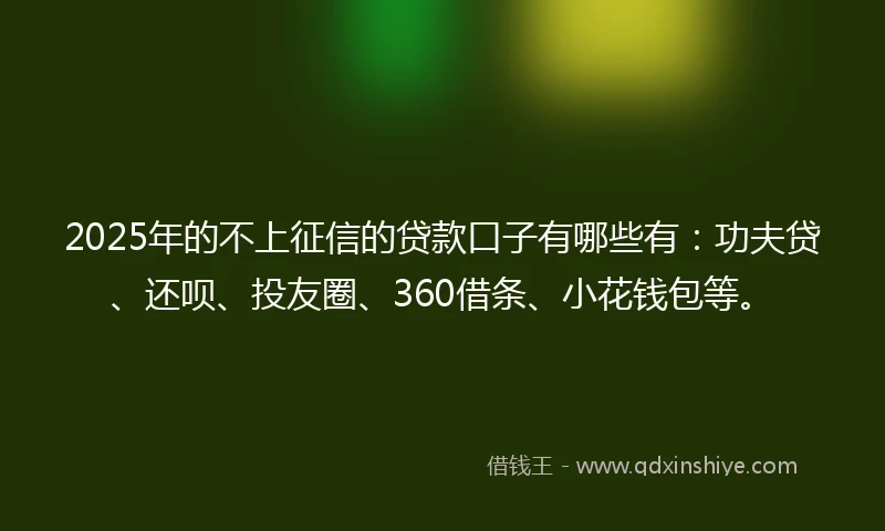 2025年的不上征信的贷款口子有哪些有：功夫贷、还呗、投友圈、360借条、小花钱包等。