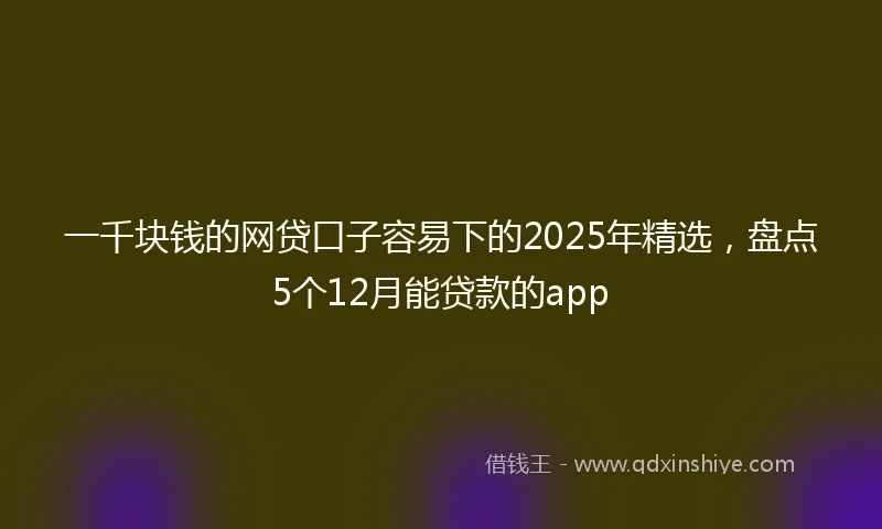 一千块钱的网贷口子容易下的2025年精选，盘点5个12月能贷款的app