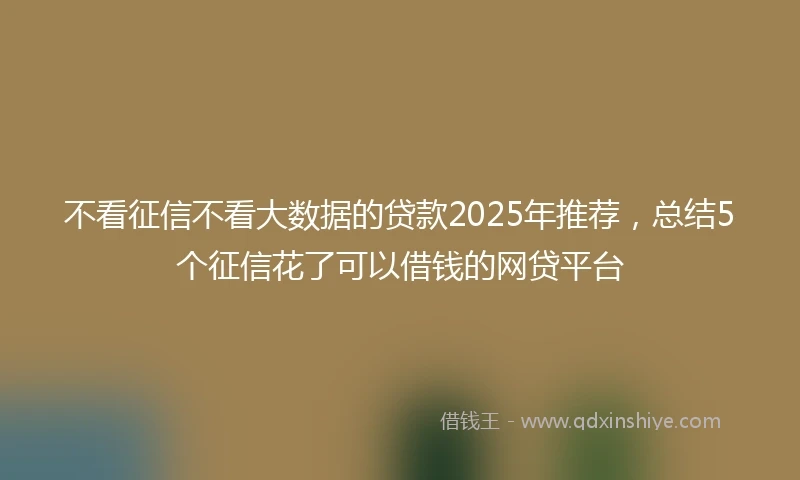 不看征信不看大数据的贷款2025年推荐，总结5个征信花了可以借钱的网贷平台