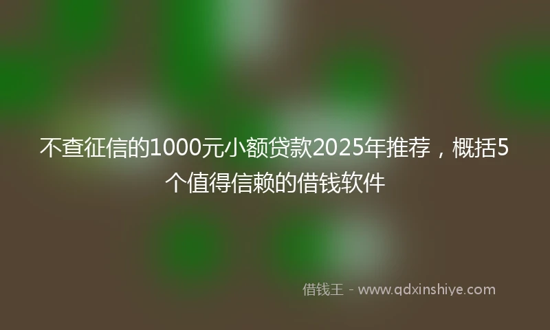 不查征信的1000元小额贷款2025年推荐，概括5个值得信赖的借钱软件