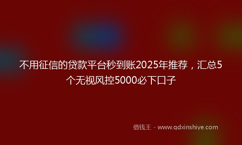 不用征信的贷款平台秒到账2025年推荐，汇总5个无视风控5000必下口子