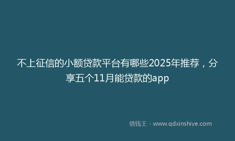 不上征信的小额贷款平台有哪些2025年推荐，分享五个11月能贷款的app