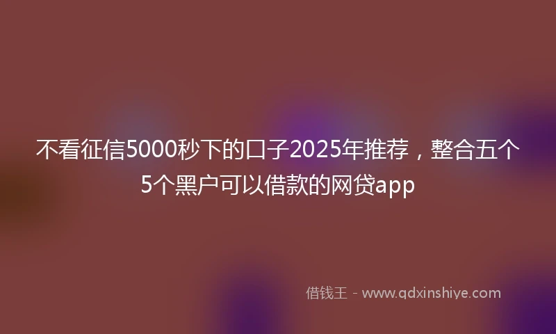 不看征信5000秒下的口子2025年推荐，整合五个5个黑户可以借款的网贷app