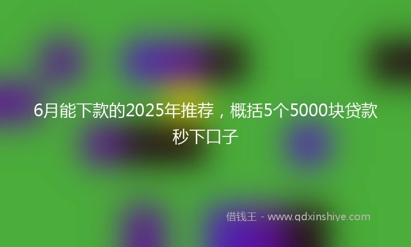 6月能下款的2025年推荐，概括5个5000块贷款秒下口子