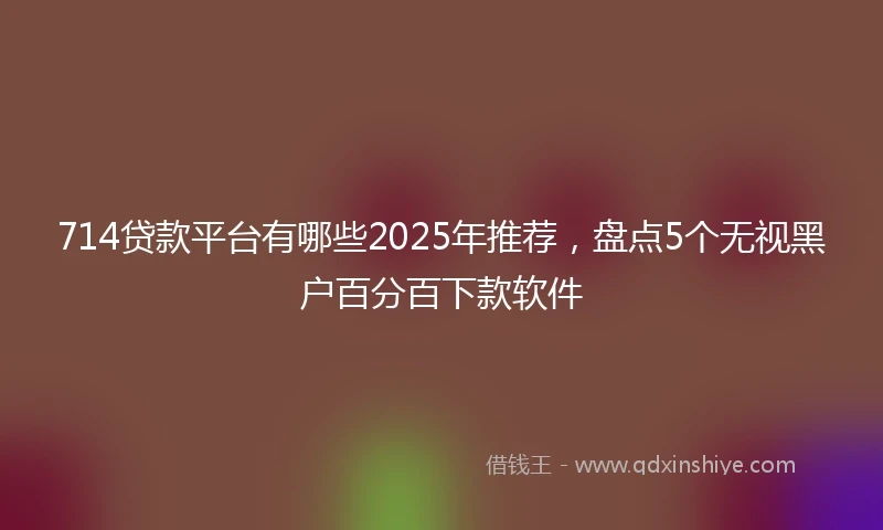 714贷款平台有哪些2025年推荐，盘点5个无视黑户百分百下款软件