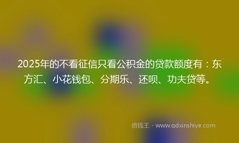 2025年的不看征信只看公积金的贷款额度有：东方汇、小花钱包、分期乐、还呗、功夫贷等。