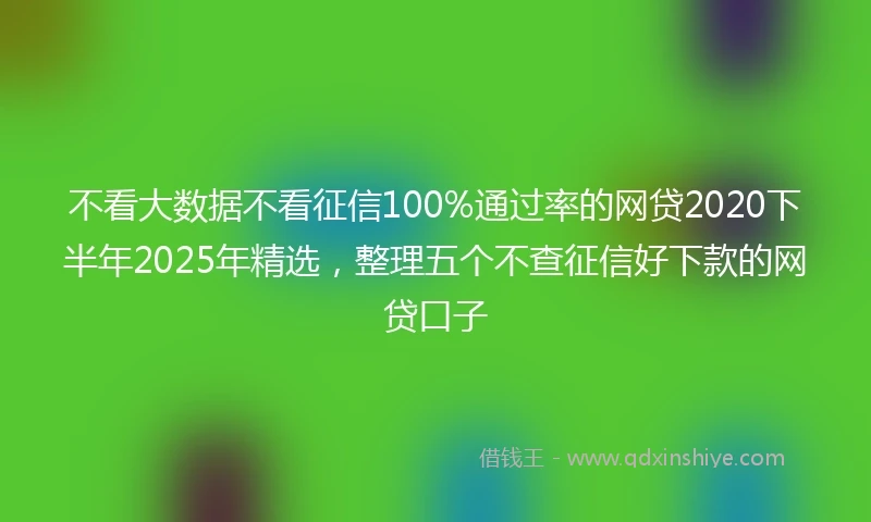 不看大数据不看征信100%通过率的网贷2020下半年2025年精选，整理五个不查征信好下款的网贷口子