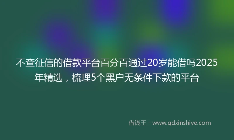 不查征信的借款平台百分百通过20岁能借吗2025年精选，梳理5个黑户无条件下款的平台