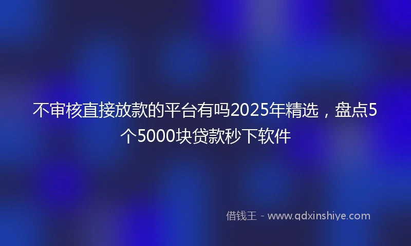 不审核直接放款的平台有吗2025年精选，盘点5个5000块贷款秒下软件