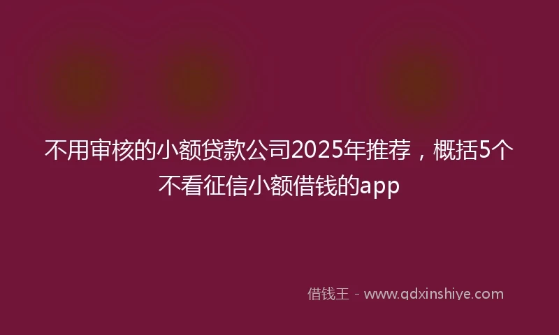 不用审核的小额贷款公司2025年推荐，概括5个不看征信小额借钱的app
