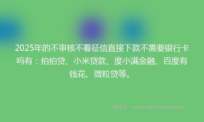 2025年的不审核不看征信直接下款不需要银行卡吗有：拍拍贷、小米贷款、度小满金融、百度有钱花、微粒贷等。