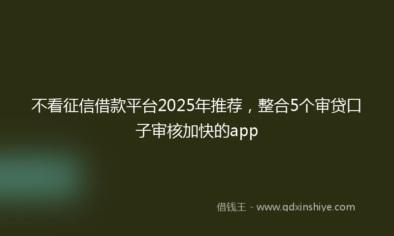 不看征信借款平台2025年推荐,整合5个审贷口子审核加快的app