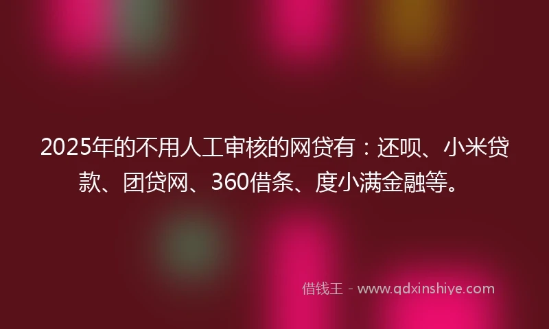 2025年的不用人工审核的网贷有：还呗、小米贷款、团贷网、360借条、度小满金融等。