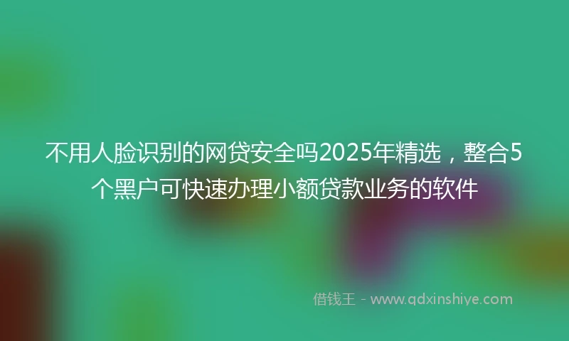 不用人脸识别的网贷安全吗2025年精选，整合5个黑户可快速办理小额贷款业务的软件