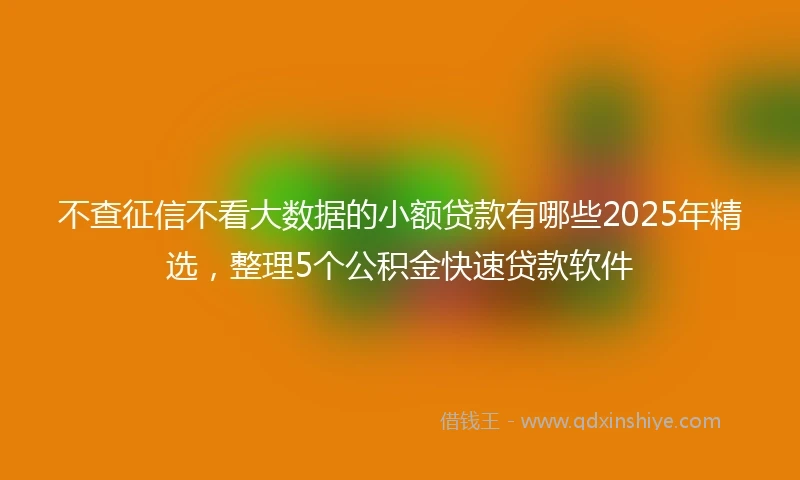 不查征信不看大数据的小额贷款有哪些2025年精选，整理5个公积金快速贷款软件