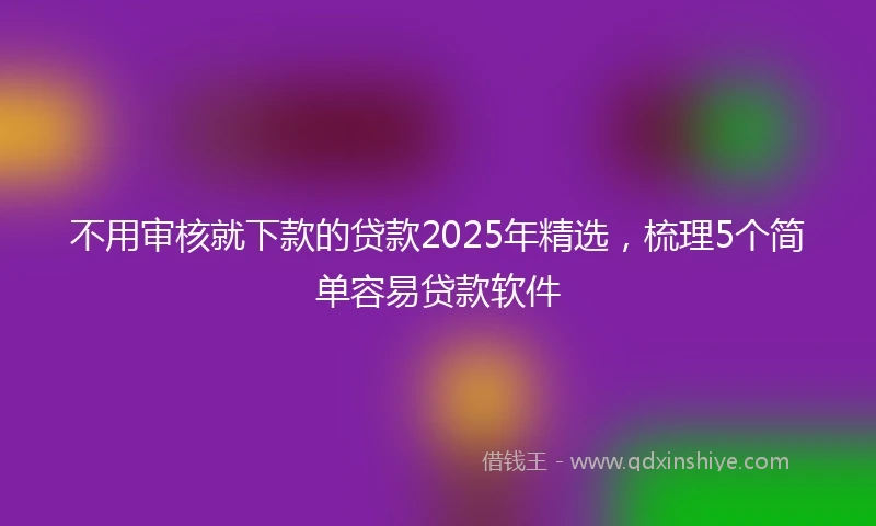 不用审核就下款的贷款2025年精选，梳理5个简单容易贷款软件