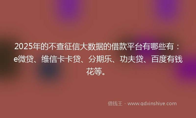 2025年的不查征信大数据的借款平台有哪些有：e微贷、维信卡卡贷、分期乐、功夫贷、百度有钱花等。