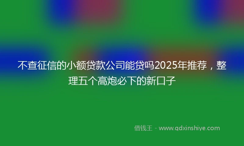 不查征信的小额贷款公司能贷吗2025年推荐，整理五个高炮必下的新口子