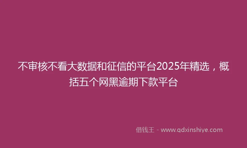 不审核不看大数据和征信的平台2025年精选，概括五个网黑逾期下款平台