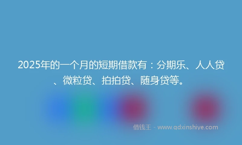 2025年的一个月的短期借款有：分期乐、人人贷、微粒贷、拍拍贷、随身贷等。