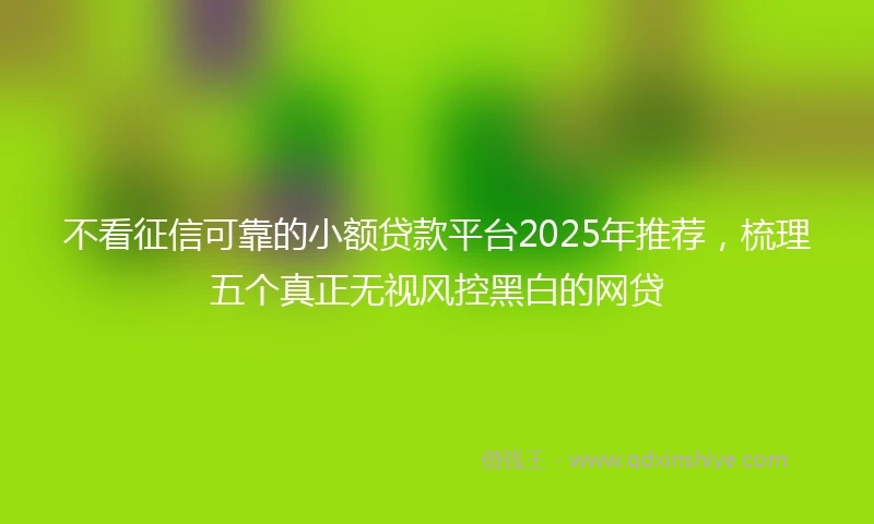 不看征信可靠的小额贷款平台2025年推荐，梳理五个真正无视风控黑白的网贷