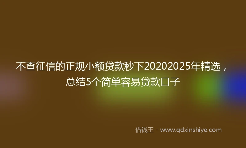 不查征信的正规小额贷款秒下20202025年精选，总结5个简单容易贷款口子