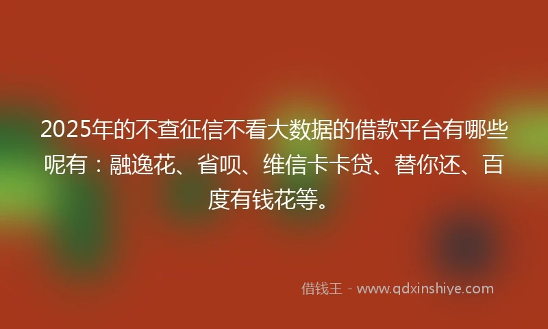 2025年的不查征信不看大数据的借款平台有哪些呢有：融逸花、省呗、维信卡卡贷、替你还、百度有钱花等。