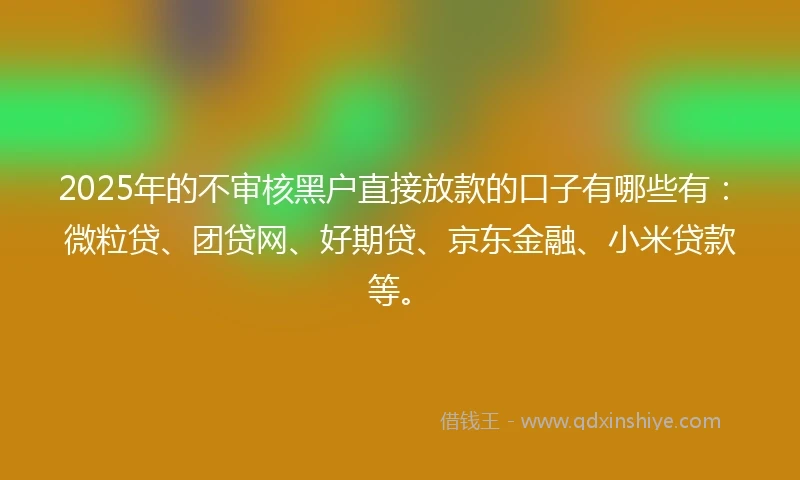 2025年的不审核黑户直接放款的口子有哪些有：微粒贷、团贷网、好期贷、京东金融、小米贷款等。