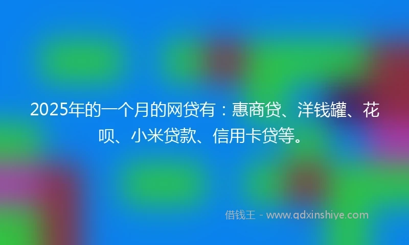 2025年的一个月的网贷有：惠商贷、洋钱罐、花呗、小米贷款、信用卡贷等。