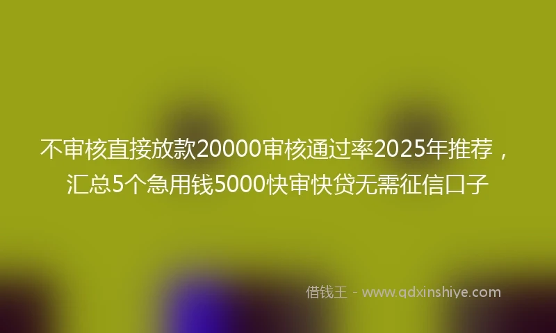 不审核直接放款20000审核通过率2025年推荐，汇总5个急用钱5000快审快贷无需征信口子