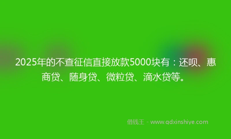 2025年的不查征信直接放款5000块有：还呗、惠商贷、随身贷、微粒贷、滴水贷等。