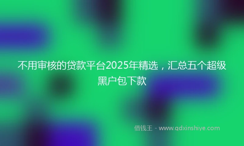 不用审核的贷款平台2025年精选，汇总五个超级黑户包下款